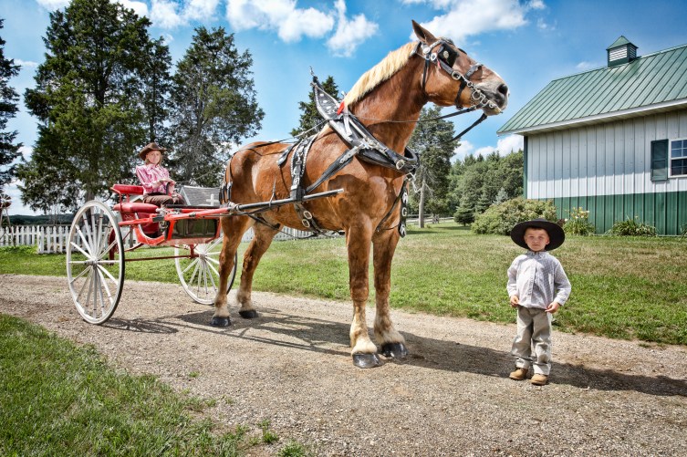 tallest-living-horse-guinness-world-records-10-of-this-year-s-best