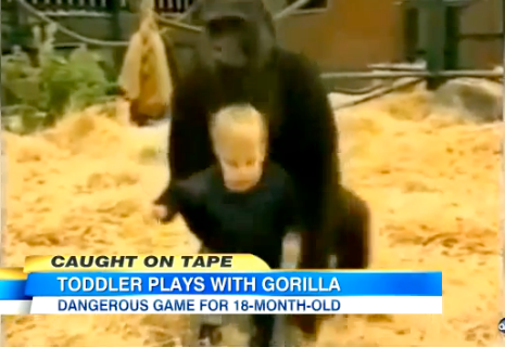 kid and gorilla screengrab