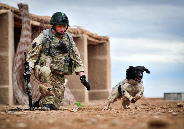 BombSniffing Dog Posthumously Receives Britain’s Highest Honor