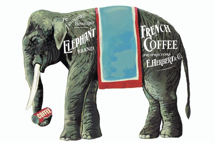 Most Exclusive Coffee In The World Elephant Feces Time Com