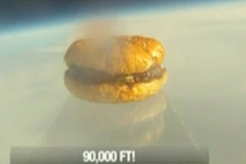 space-burger-Harvard