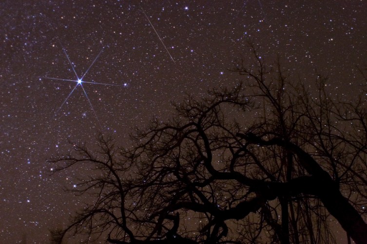Geminid Meteor Show to Light up Tonight’s Sky — Plus Possible Bonus