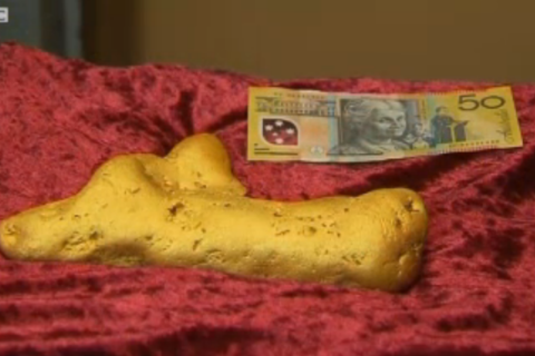 image:A man finds a 12-pound gold nugget just outside of Ballarat, Australia.