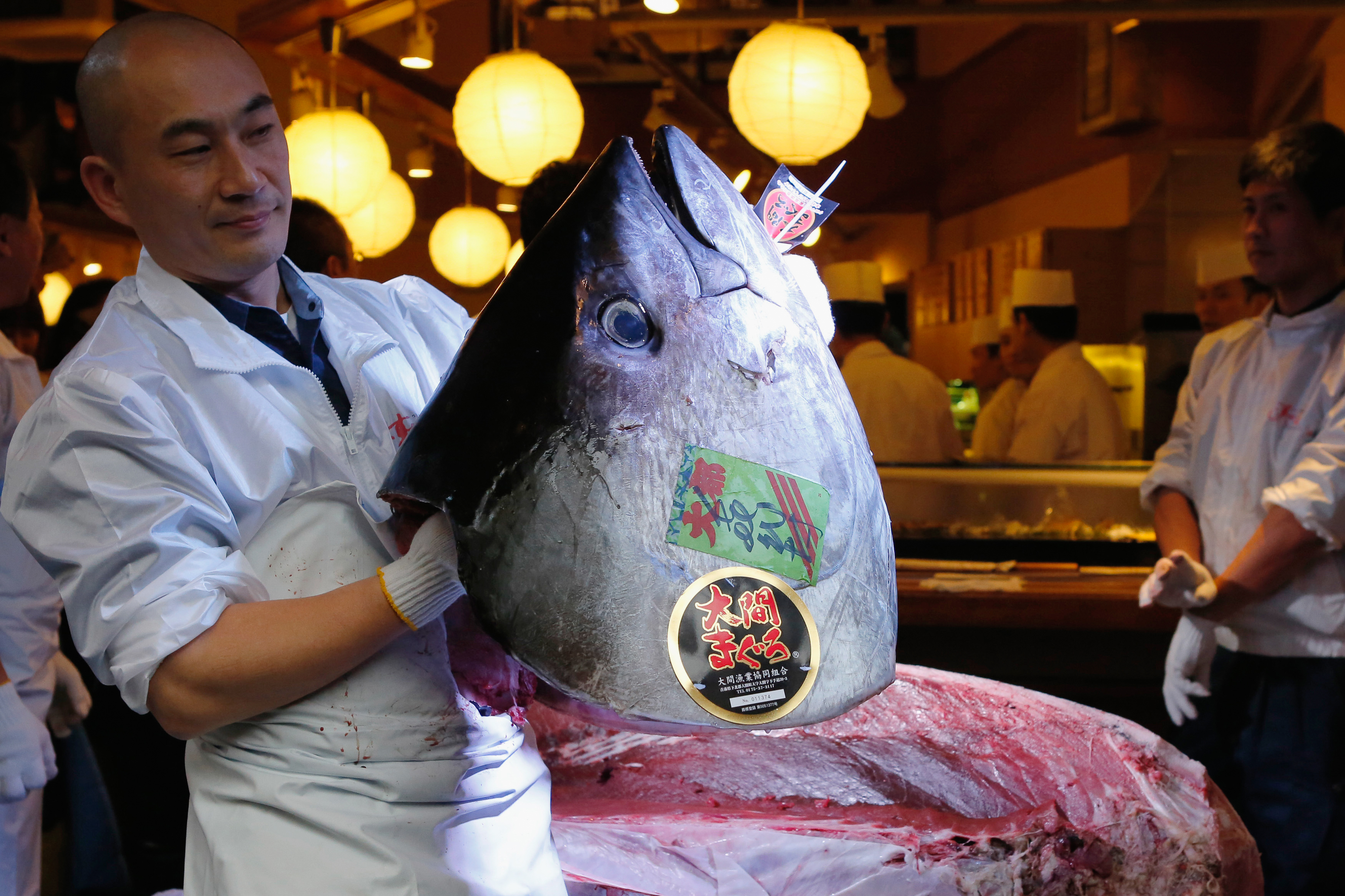 Мясо дорогих рыб. Голубой тунец, весящий 222 килограмма. Самая дорогая рыба. Самая дорогая рыба в Японии.