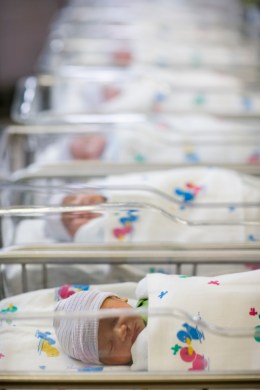 Image: Row of newborn babies in hospital nursery