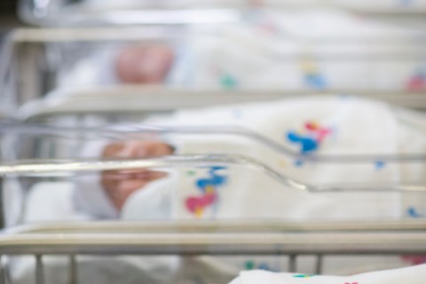 Row of newborn babies in hospital nursery
