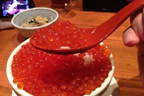 img: A bowl of tsukko meshi is displayed at Hachikyo restaurant in Japan.