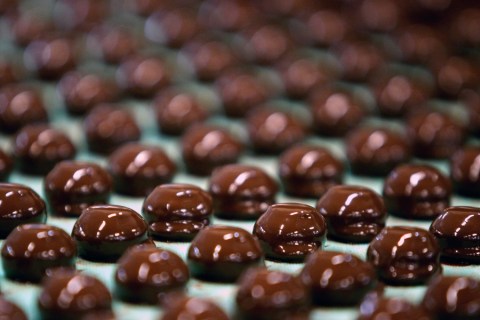 Inside The Thorntons Plc Chocolate Factory