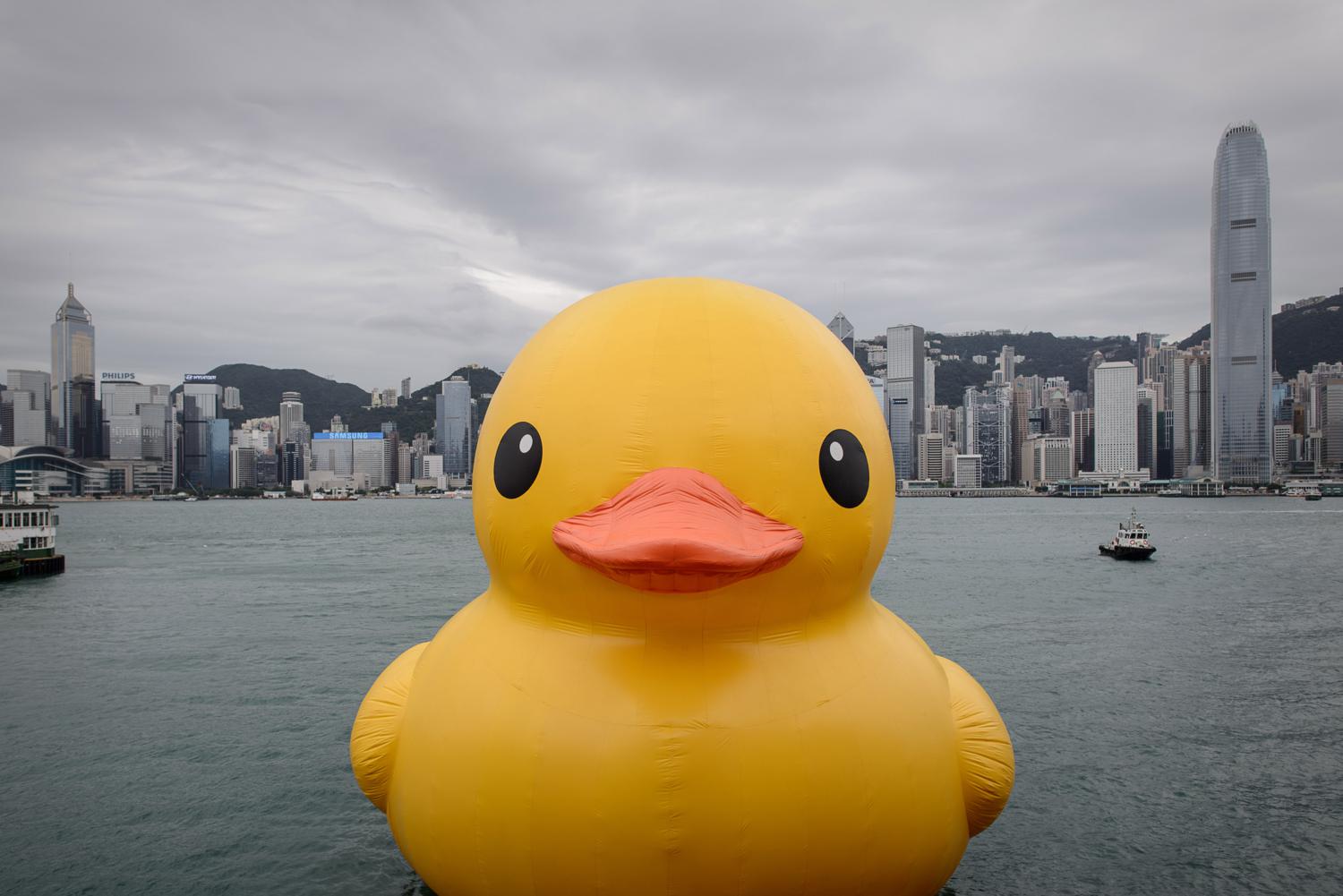 PHOTOS Giant Rubber Duck Floats in Hong Kong Harbor