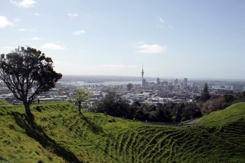 A View Of Auckland City From The Top Of Mt Eden On
