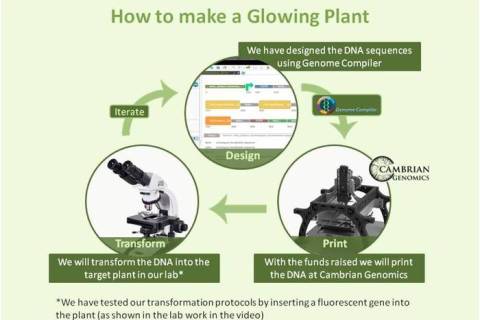 Glo Plant kickstarter 2