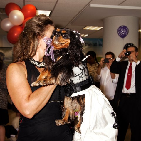 Sadie, escorted by owner Stacy McCosky, works the runway while competing to be Prom Queen.