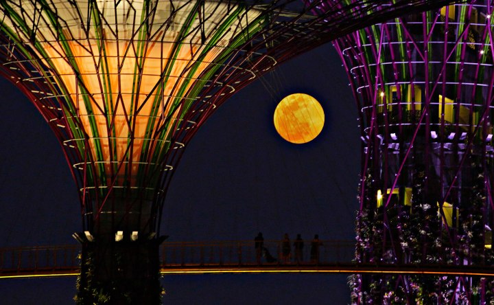 Tourists look at the rising "super moon" from the elevated skywalk of the Supertrees Grove at the Gardens by the Bay in Singapore