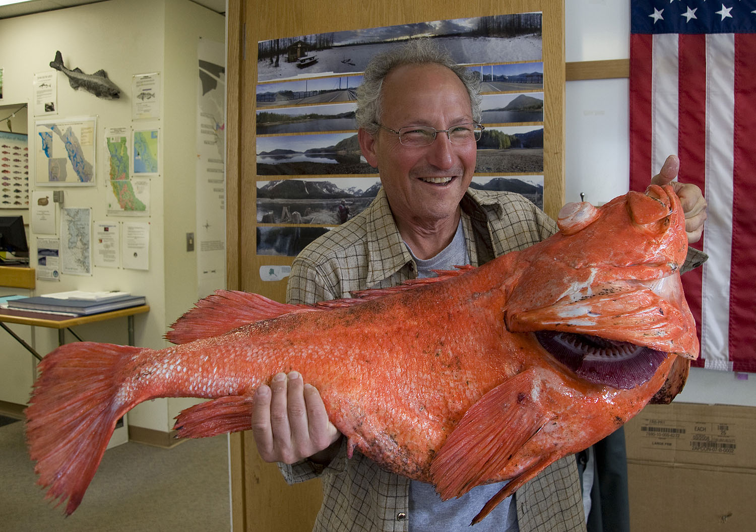 ★激レア 1940's REDHEAD fishuntex ビッグサイズ Fisherman Catches Rockfish in Alaska That May Be 200-Years-Old