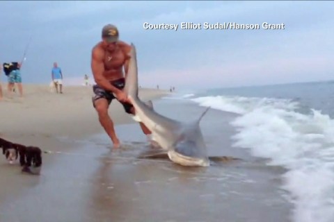 Man Wrestles Shark