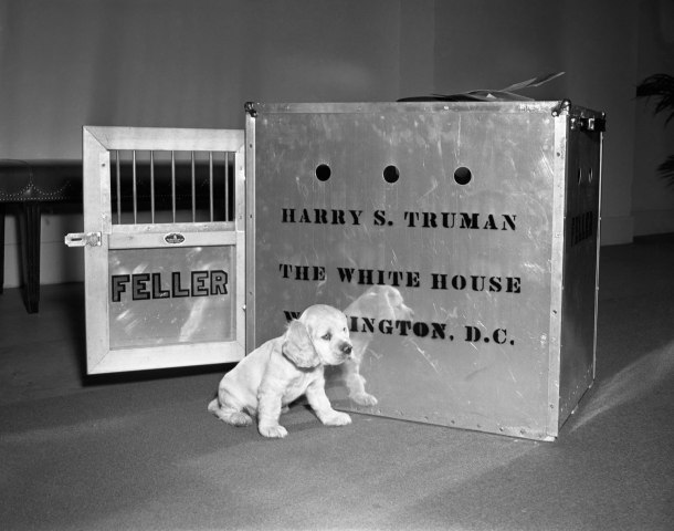 Harry S Truman and Feller