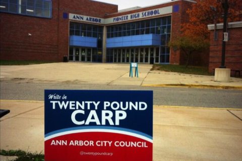 carp election city council
