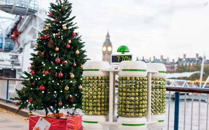 Christmas Tree Powered by Brussel Sprouts | TIME.com