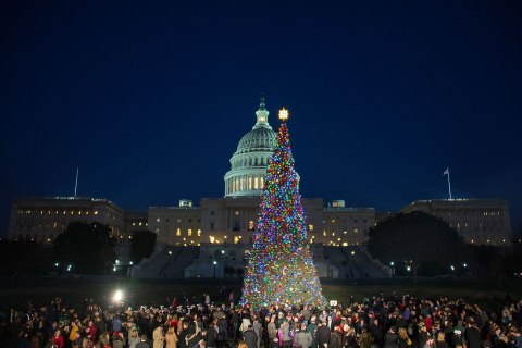 Capitol Christmas tree 