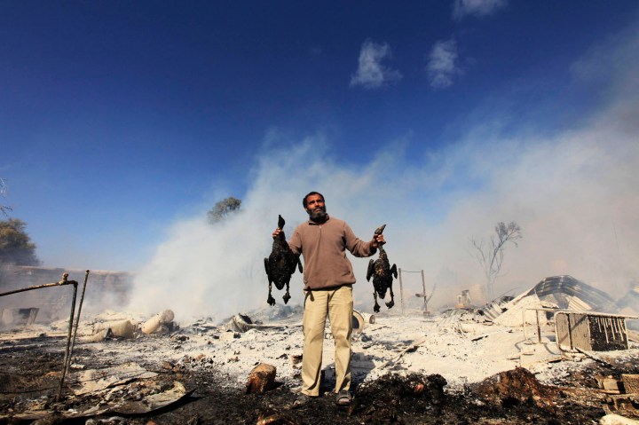 A man holds two burned birds after a fire went off in a compound for homeless Libyan families in Benghazi